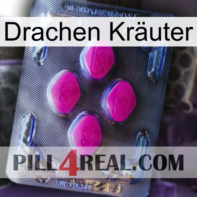 Drachen Kräuter 02